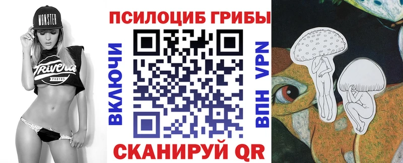 где купить наркоту  Дубовка  Псилоцибиновые грибы Cubensis 